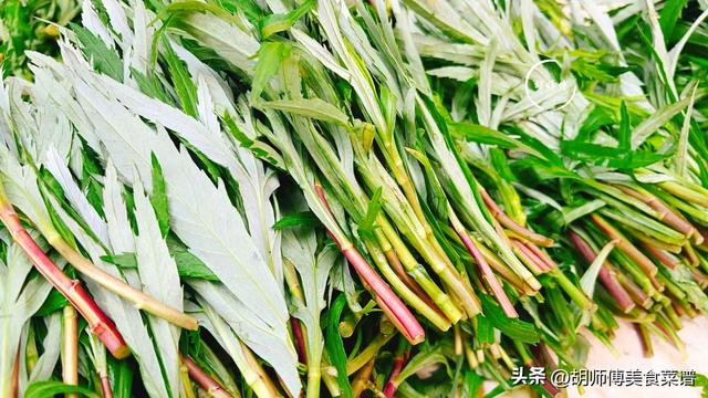 什么菜降血压效果最好，吃什么菜降血压效果最好（它是降压“特效药”）