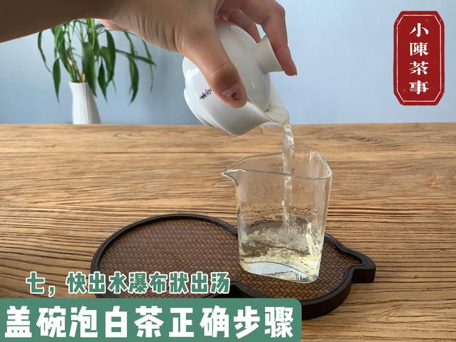 茶道入门泡茶顺序，茶道入门茶道基本步骤（教你用最少的时间从菜鸟到高手）