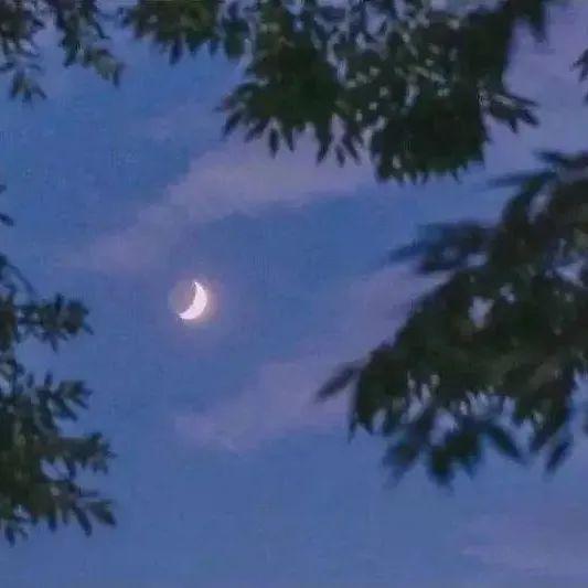 逼图，微信头像，逼图（微信头像+背景图片2022最火爆）