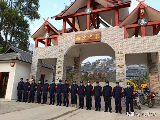 名山帕沙古树普洱生茶，01帕沙古树茶