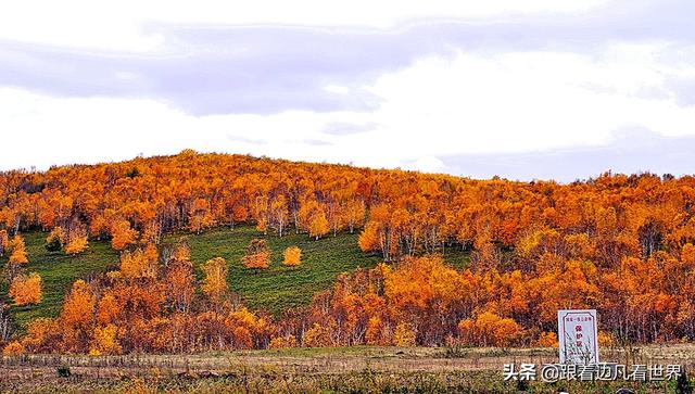 阿尔山的风景，《走进内蒙》景色迷人