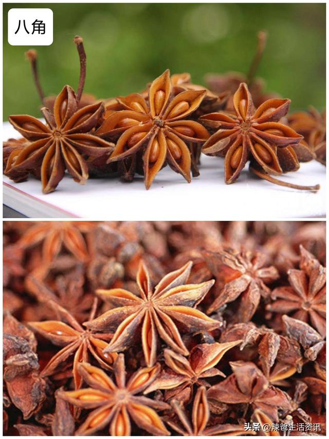 香料大全所有的香料名字，香料有多少种（厨房必备的8种香料）