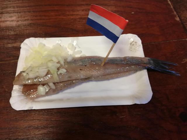 rotterdam是哪个国家的港口（这里的建筑以标新立异闻名）