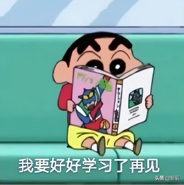 声恋的演员介绍，恋歌演员介绍（光靠颜值就在国内出圈的日系美少女）