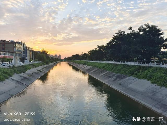 乌龟为什么长寿，乌龟为什么能这么长寿（乌龟为什么能这么长寿呢）