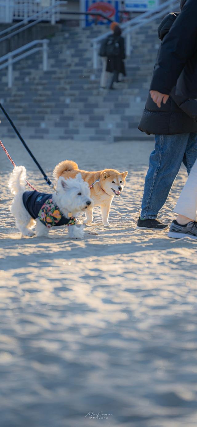 海边玩的心情发朋友圈，适合去海边玩发朋友圈的句子（适合去海边发的文艺朋友圈文案）