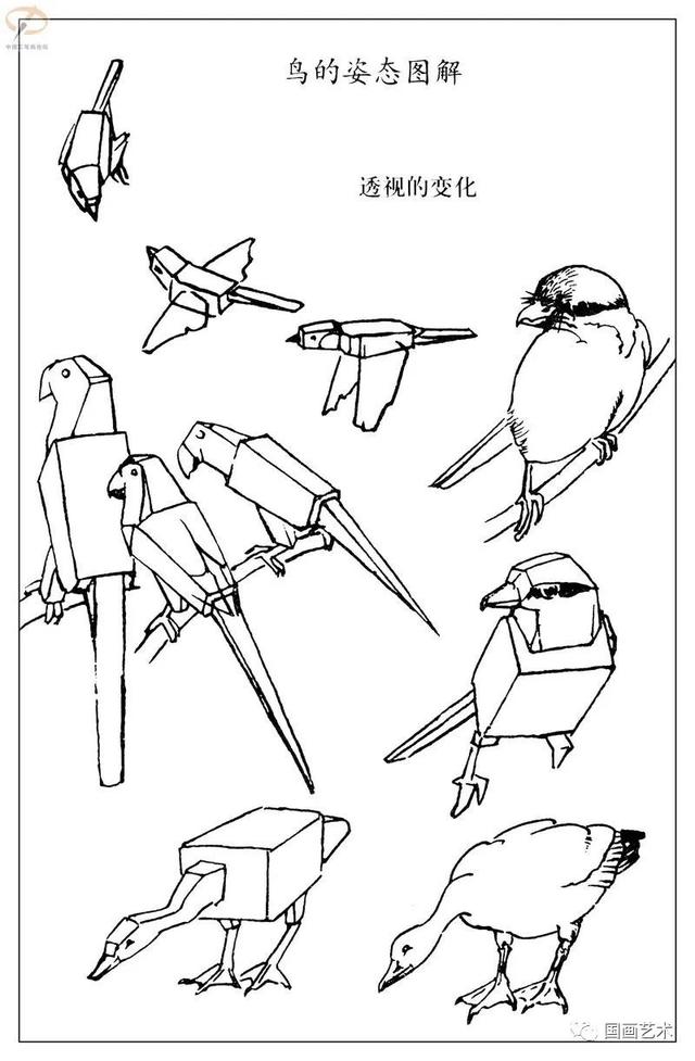 火的简笔画图片，火焰怎么画简笔画图片（画鸟参考——白描麻雀百图）