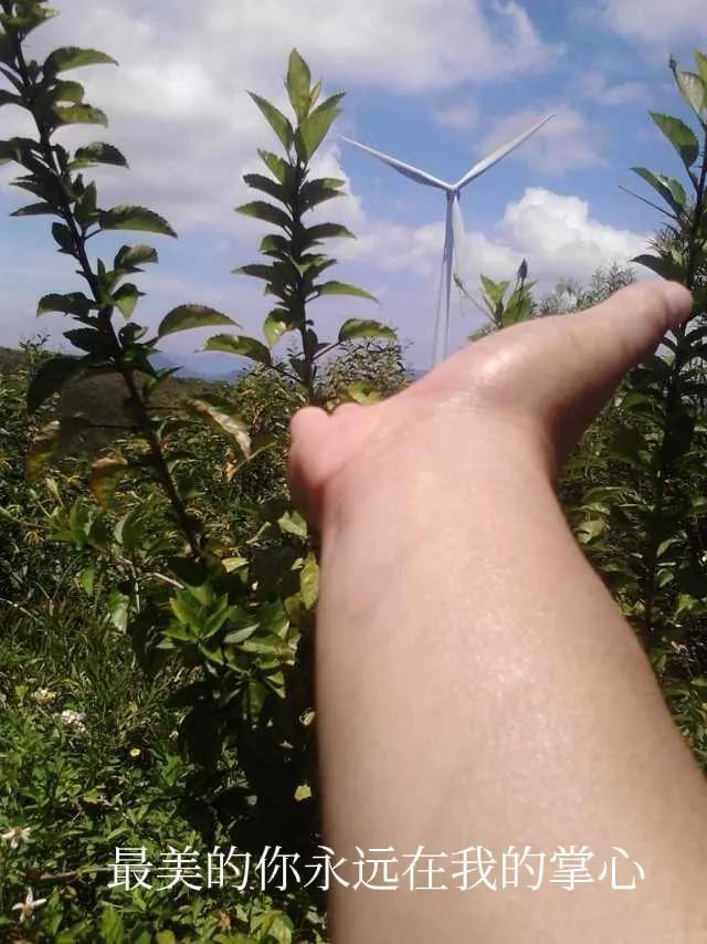 摩天轮的传说，摩天轮的传说~~~现在才知道（关于摩天轮的一个传说）