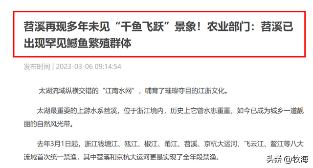 鳡鱼是什么鱼，鳡鱼是什么鱼在泗洪话里（鱼群资源“失而复现”）