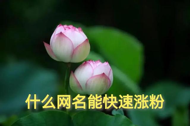 最简单但又帅气的名字网名，最简单但又帅气的名字微信昵称（你的网名很好听，但老是不涨粉）