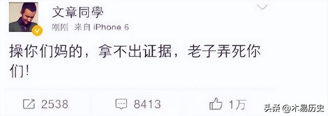 马伊琍文章离婚，马伊琍文章为什么离婚原因曝光（文章和马伊琍的生活）