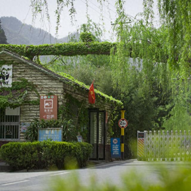 陕西黑河国家森林公园恢复开园！