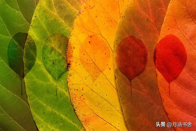 立秋有什么说法，立秋早晚有什么说法（古人告诫：立秋2不睡）