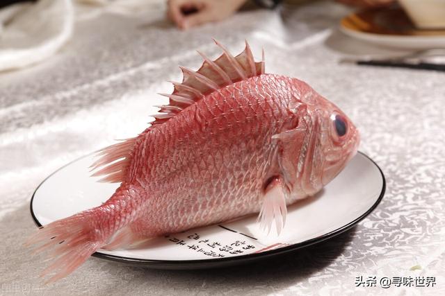 鲷鱼是什么鱼，脆肉鲷鱼是什么鱼（春夏季海鱼9大排名来了）