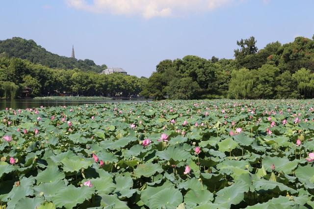 杭州西湖十景最美的景色，最美“西湖十景”图文介绍