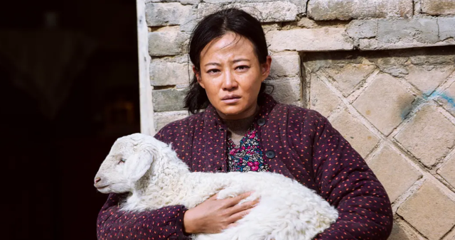 盘龙卧虎高山顶的演员，盘龙卧虎高山顶的演员是谁（把汤唯和蒋勤勤等女星放在一起）