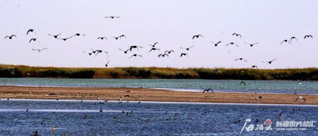 我国最长的河流是什么，世界最长河流排名前十（塔里木河到底有多重要）