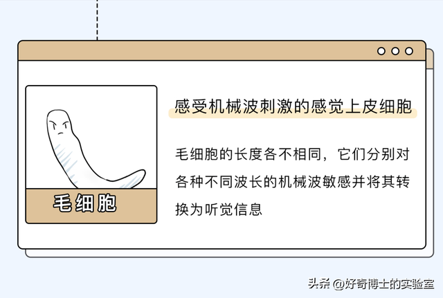 每天戴耳机不能超过多久，一天戴多长时间耳机为好（每天戴耳机超过一小时）