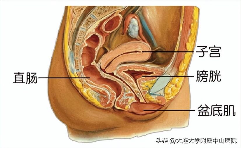 大连在线（门诊推介）