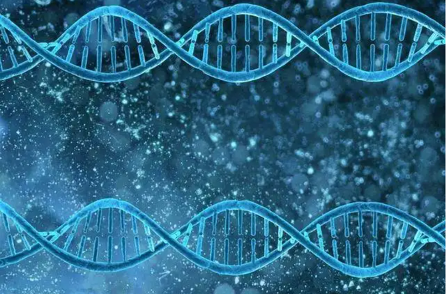 2003年非典多少人感染，2003年非典感染人数是多少（2003年让人胆寒的非典）