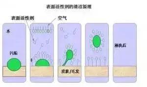 化妆品成分表中的各类成分 都有什么作用？（珍藏版）