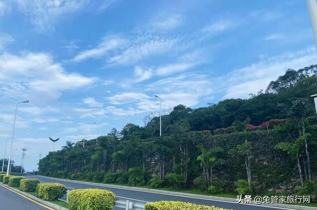 厦门八大景点是哪几个，厦门八大景点是哪几个区（盘点外地人必去的厦门八个景点）