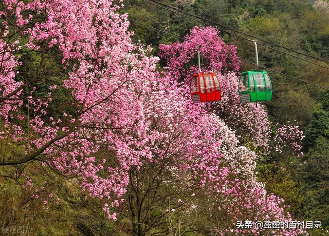 三月最值得去的旅游地方，9大绝美春色旅行地