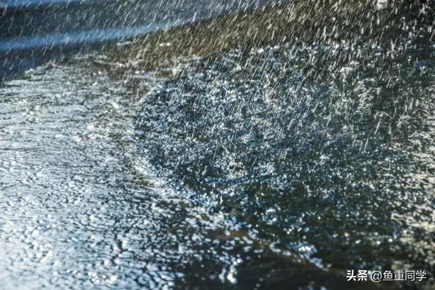 农历七月十四是什么节日，农历7月14什么节日（你知道是什么日子吗）