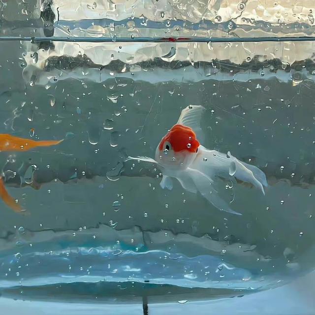 关于中考加油的励志短句，中考励志短句霸气（<点击接收好运.>）