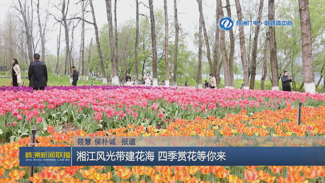 株洲湘江风光带，怎样介绍长沙沿江风光带（湘江风光带建花海）