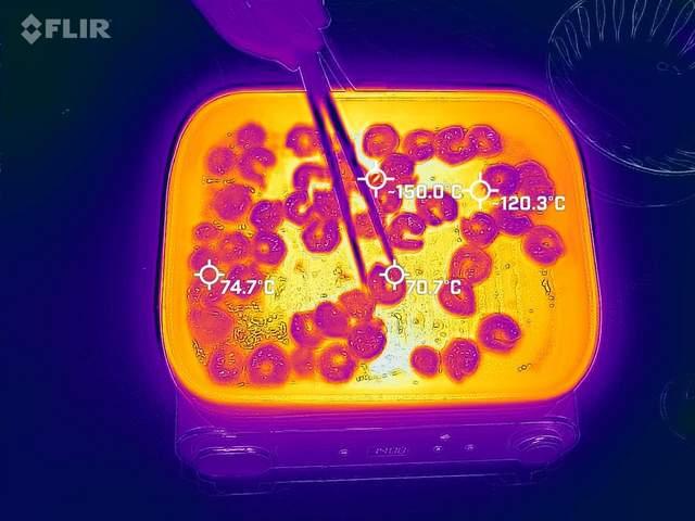 臭豆腐蒸制方法，蒸臭豆腐怎么做（解锁黑暗料理：空气炸臭豆腐）