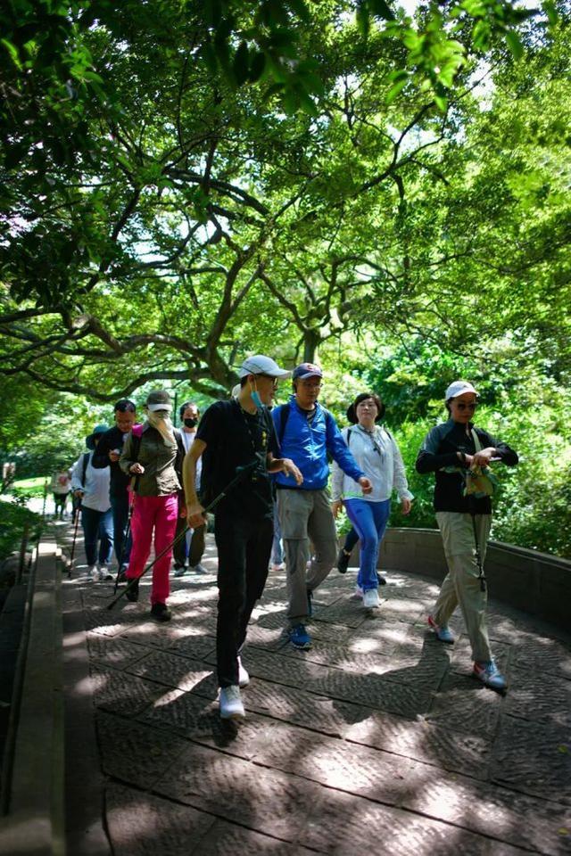 苏堤的由来， 这场山水间的文化体验之旅揭秘不为人知的千年城市历史