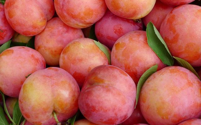 夏天10大水果，夏天吃什么水果降火快（多吃这6种应季水果）