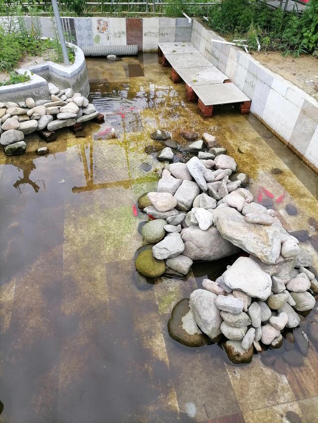 大自然的搬运工，大自然的搬运工是什么动物（大自然的搬运工是什么动物日记）