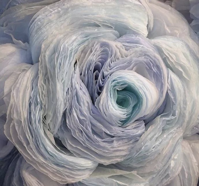 用卫生纸怎么做花，怎样用卫生纸做白花（她用纸种花，美成了童话）