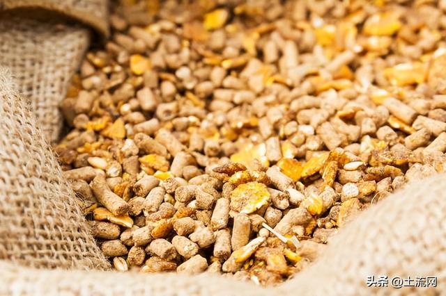 猪饲料价格多少钱一吨，如何选购性价比高的猪饲料（现在最新价格多少钱一吨）
