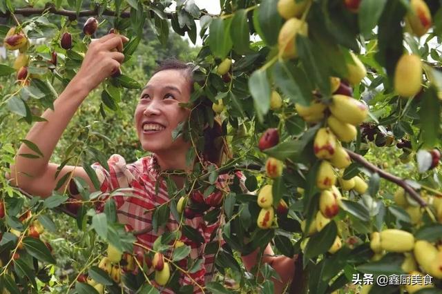 中国最好的红枣产地是哪里，中国最好的红枣产地是哪里的（这5个地方最有名）