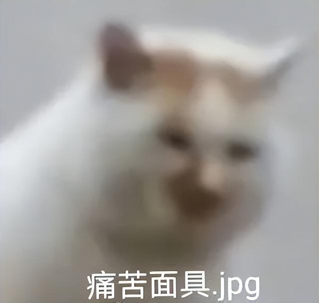 我是你爹的表情包，热门表情包/我是你爹。，微信头像（全世界所有表情包）