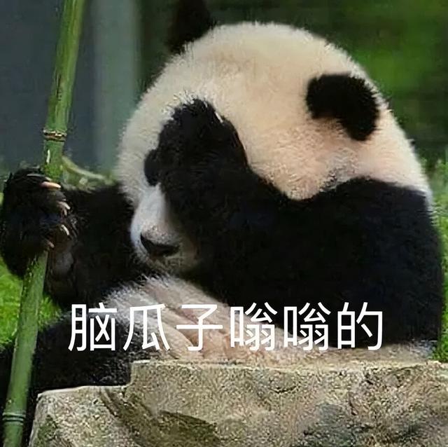 可爱表情包图源网络，可爱表情包原图（沙雕可爱表情包：谢谢你）