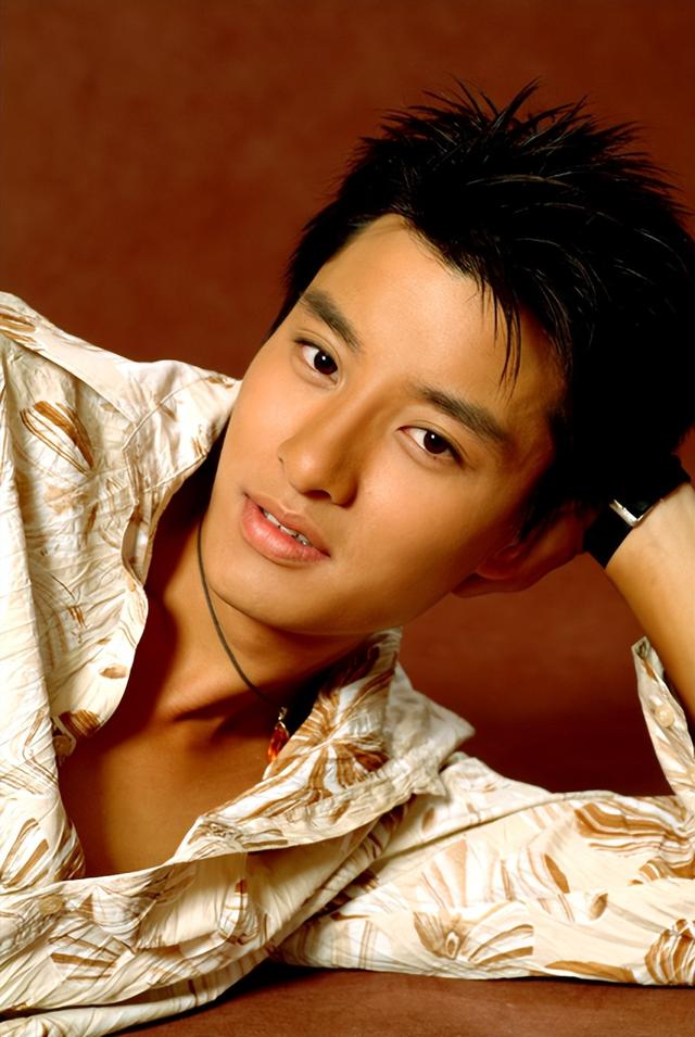 贾乃亮拍过的电视剧,贾乃亮演过的电视剧(把前儿媳李小璐宠成宝)