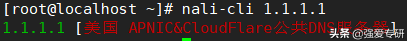 Linux-nali解析IP归属信息