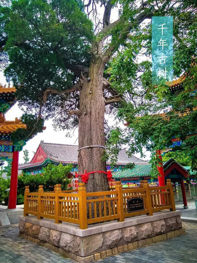 沂山风景区一日游攻略2022，这些“美如画”的地方必打卡