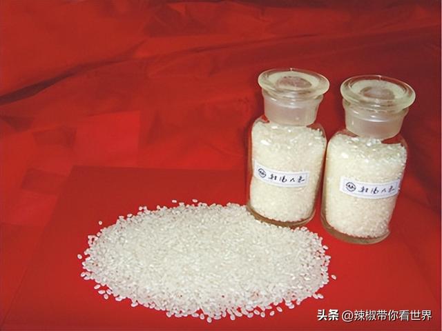 盐城特产介绍，盐城特产（大自然寂静之美造就这里的特色美食）