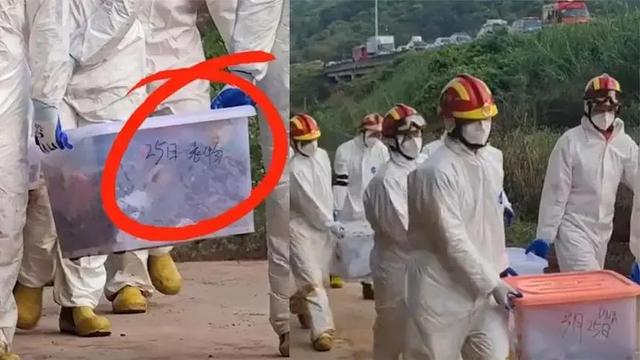 哆啦a梦时光机，哆啦a梦时光机的作用（救援人员找到印有哆啦A梦的盒子）