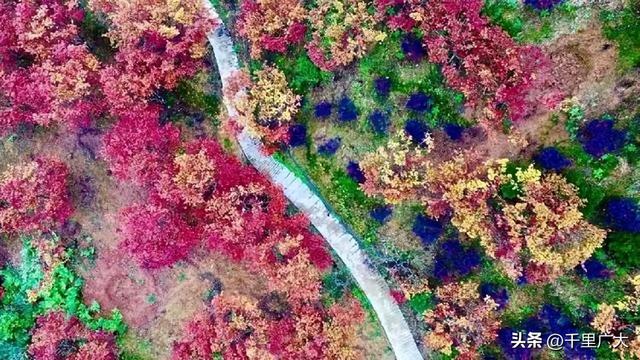 重庆十大冬季旅游景点 重庆旅游必去景点排名，重庆十大冬季旅游景点（去这些地方，邂逅重庆的秋天）