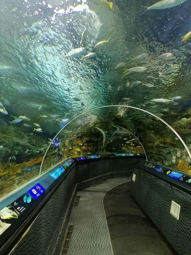 上海的海洋水族馆，世界上最长的海底观光隧道之一，门票160元