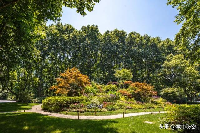 八载图片保护有哪些，八载图片保护怎么设置（西湖保护70年）