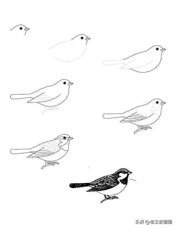 小学生简笔画，小学生简笔画图片大全（分享30个超详细的简笔画教程）