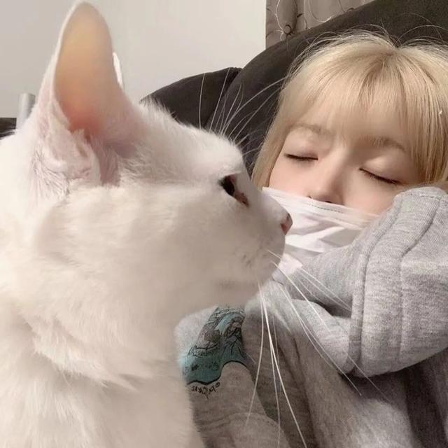 猫系女孩，微信头像，猫系女孩（女生头像：抱猫头像）