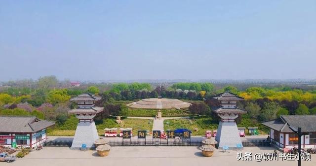 洛阳最值得一看的牡丹园，史上最全的洛阳牡丹观赏园